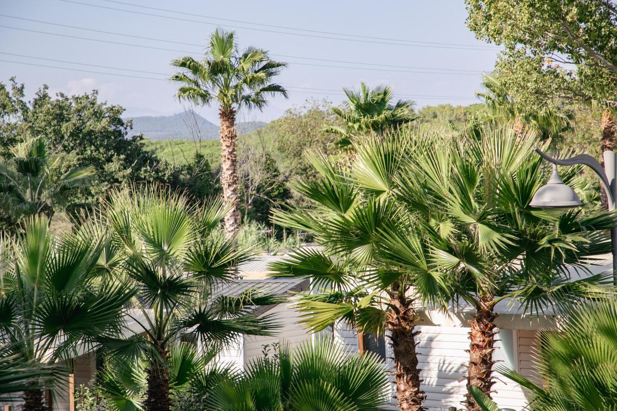 Camping Site De Gorge Vent Fréjus Dış mekan fotoğraf