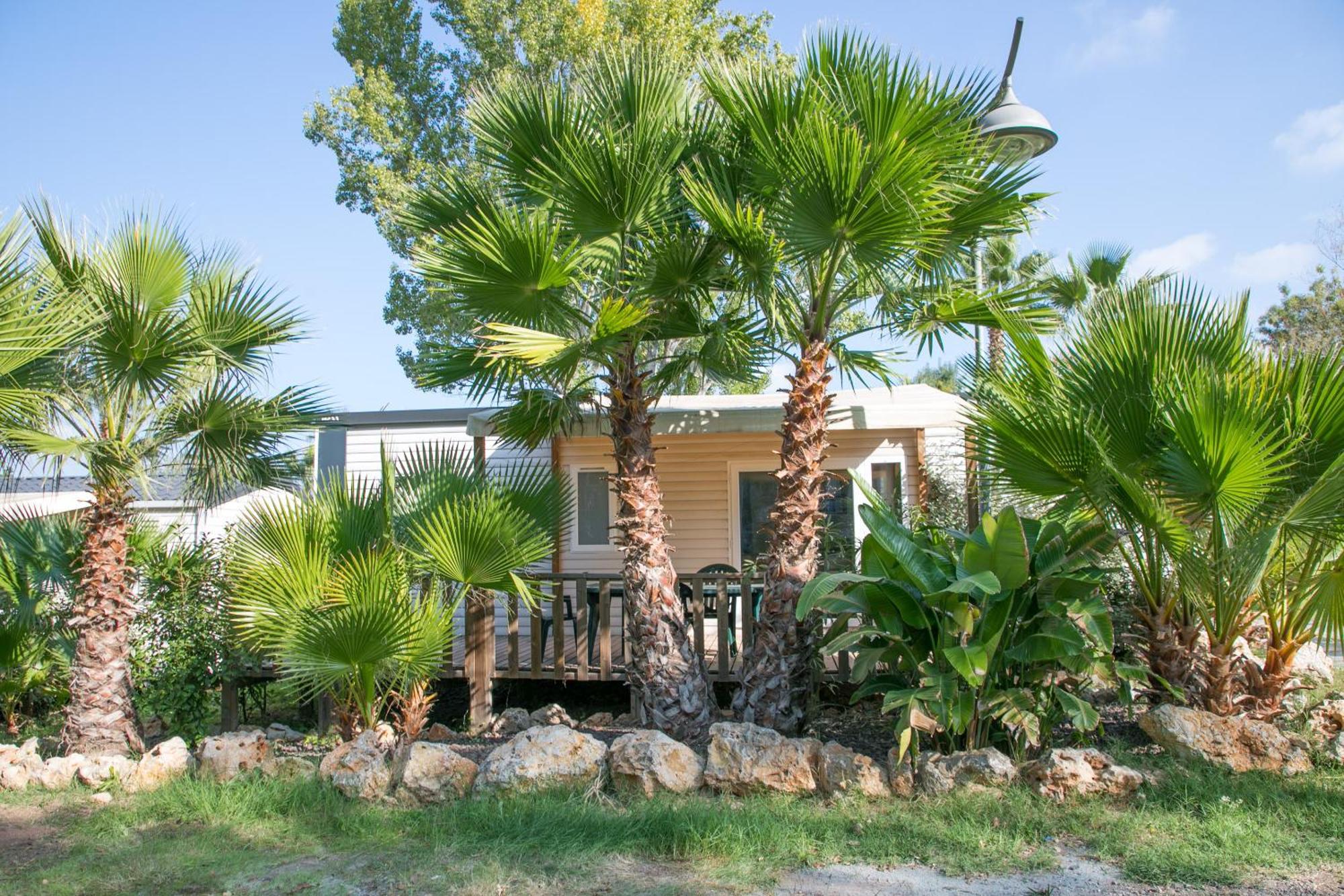 Camping Site De Gorge Vent Fréjus Dış mekan fotoğraf